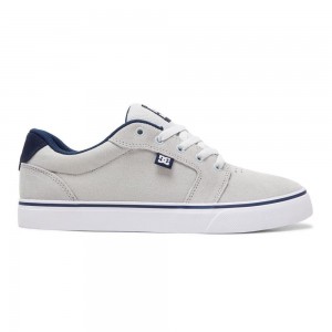 DC Shoes Anvil Schoenen Heren Grijs Blauw | OCW58A-033