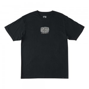 DC Shoes Bulgy T-Shirt Heren Zwart | MFB87V-231