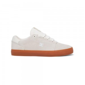 DC Shoes Hyde S Suede Schoenen Heren Grijs | TXY49C-731