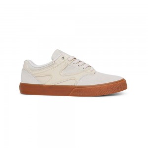 DC Shoes Kalis Vulc Leren Schoenen Heren Grijs | LBW60Q-144