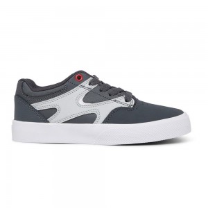 DC Shoes Kalis Vulc Schoenen Kinderen Grijs Rood | NEP40L-507