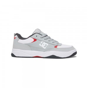 DC Shoes Penza Schoenen Heren Grijs Wit | ONE63J-338