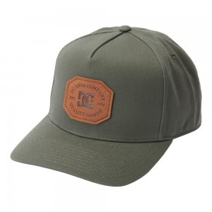 DC Shoes Reynotts Snapback Hoed Heren Groen | NDO46W-718