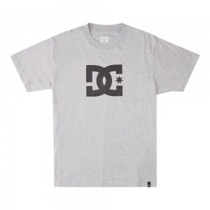 DC Shoes Star T-Shirt Heren Grijs | WHS60G-070