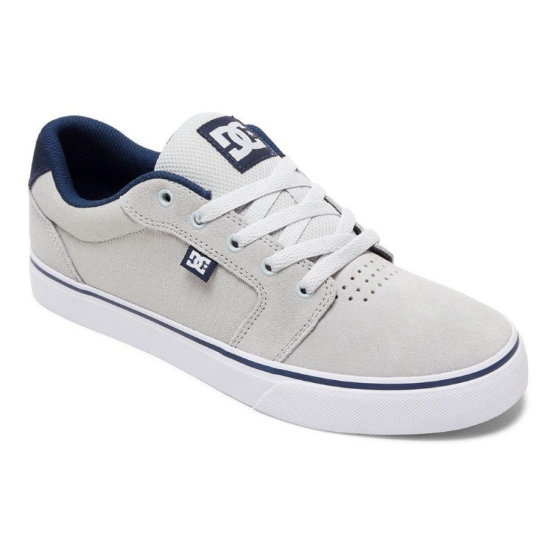 DC Shoes Anvil Schoenen Heren Grijs Blauw | OCW58A-033