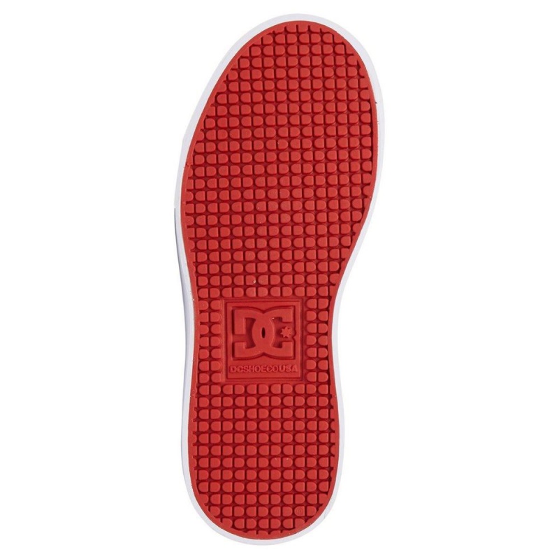 DC Shoes Anvil Schoenen Kinderen Grijs Rood | UUD08F-430