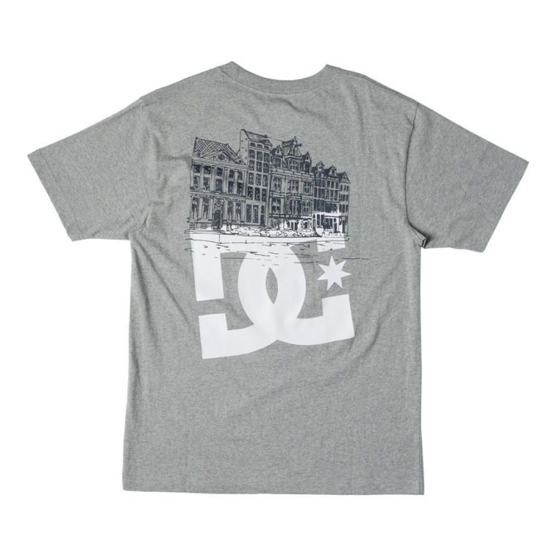 DC Shoes Ben-G Amsterdam T-Shirt Heren Grijs | VZM19Y-454