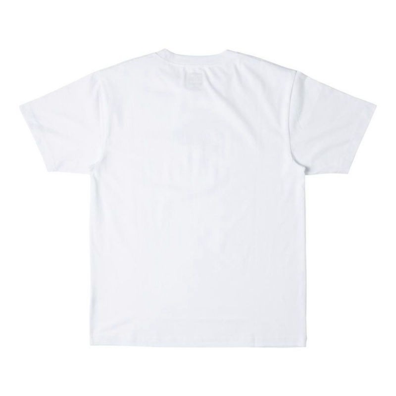 DC Shoes Ben-G Tre Flip T-Shirt Heren Wit | VNJ51V-740