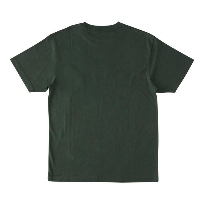 DC Shoes Bulgy T-Shirt Heren Groen | XQM77A-174