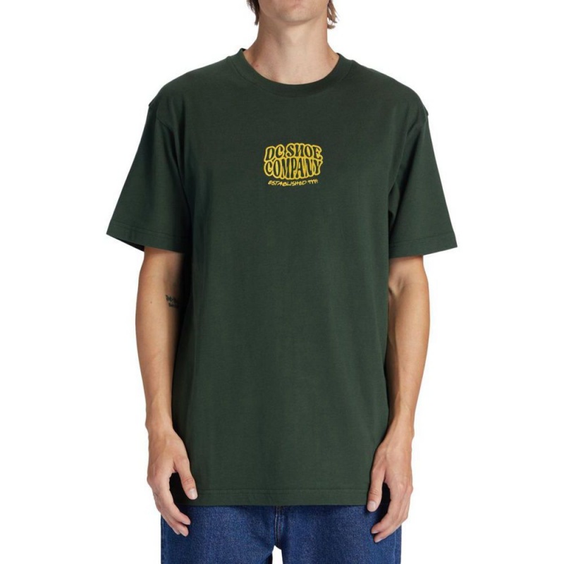 DC Shoes Bulgy T-Shirt Heren Groen | XQM77A-174