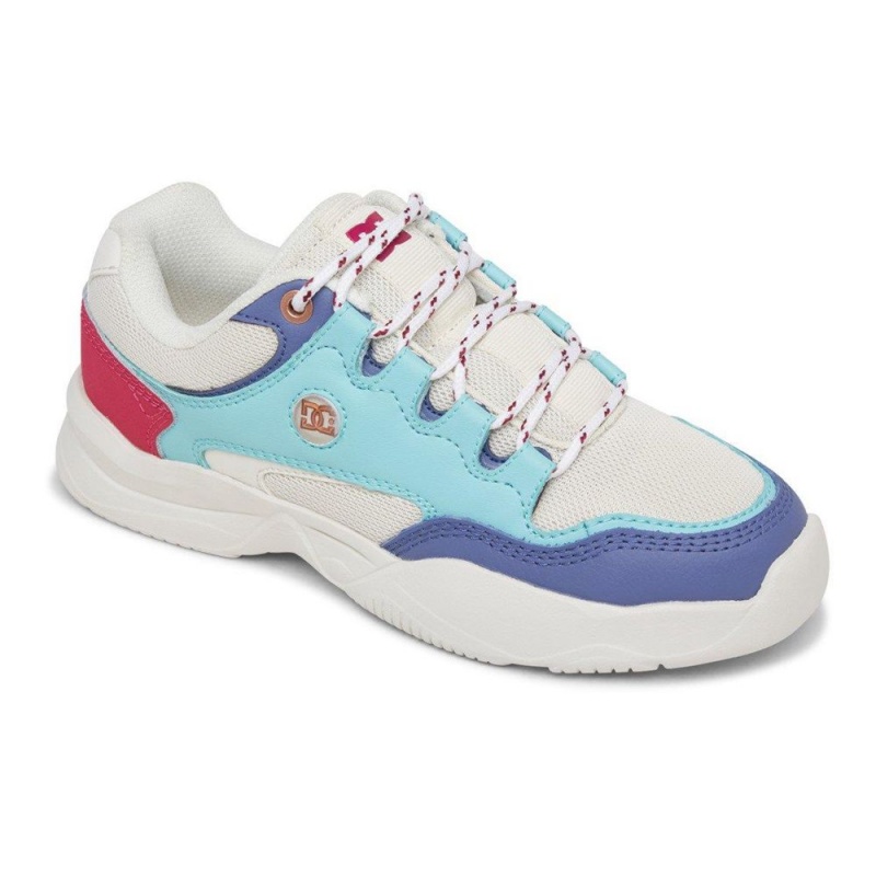 DC Shoes Decel Schoenen Dames Grijs Blauw | ECV34Q-080