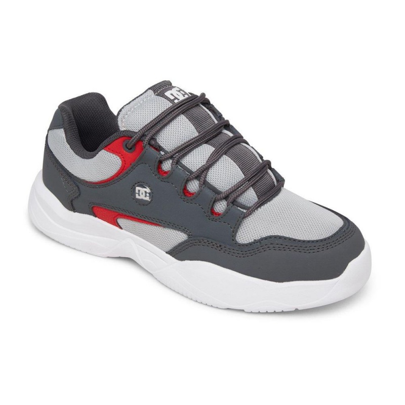 DC Shoes Decel Schoenen Heren Grijs Zwart | BXN31E-026