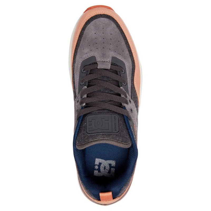 DC Shoes E.Tribeka SE Schoenen Heren Grijs Bruin | SGZ48M-953