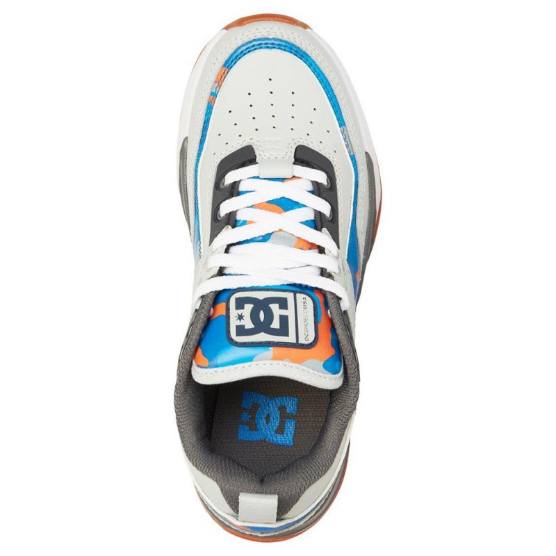 DC Shoes E.Tribeka SE Schoenen Kinderen Grijs Blauw | YXL46V-721