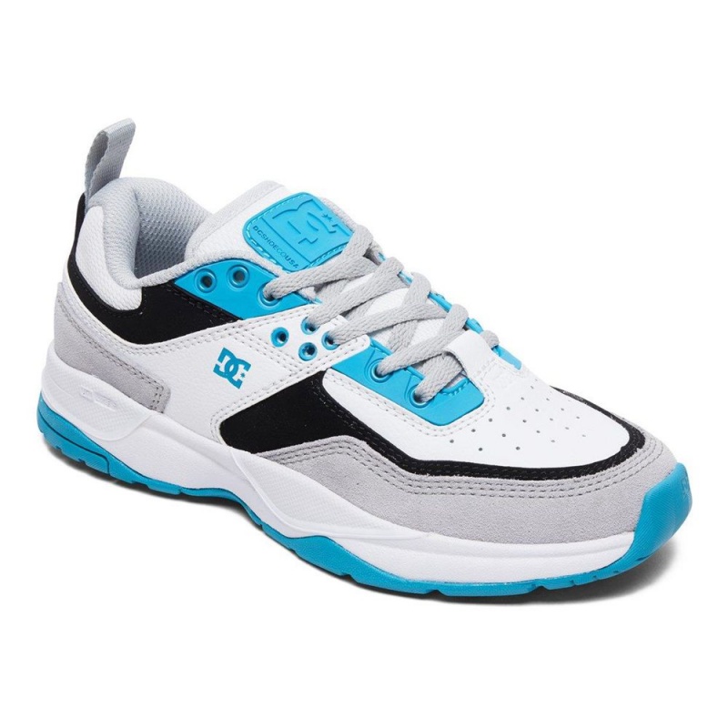 DC Shoes E.Tribeka Schoenen Kinderen Wit Blauw | EHI54O-080