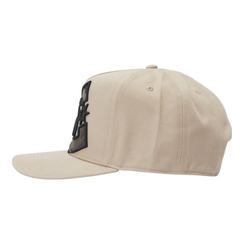 DC Shoes Heardnotts Snapback Hoed Heren Beige | UID34A-159