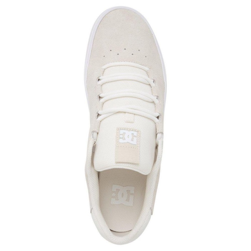 DC Shoes Hyde Leren Schoenen Heren Grijs | XOK36J-264