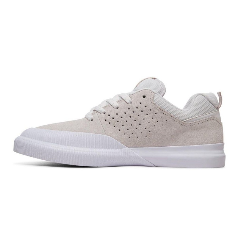 DC Shoes Infinite Schoenen Heren Grijs Wit | GUM90Q-897