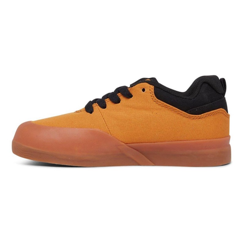 DC Shoes Infinite Schoenen Kinderen Bruin Zwart | UAX25D-756