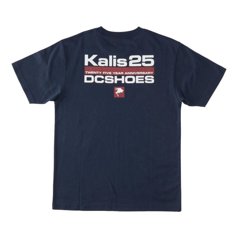 DC Shoes Kalis25 T-Shirt Heren Donkerblauw | CMF50H-296