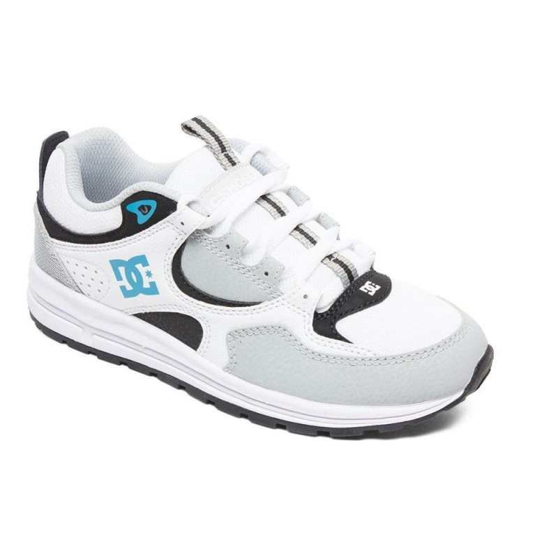 DC Shoes Kalis Lite Schoenen Kinderen Wit Grijs | JKP17Z-949