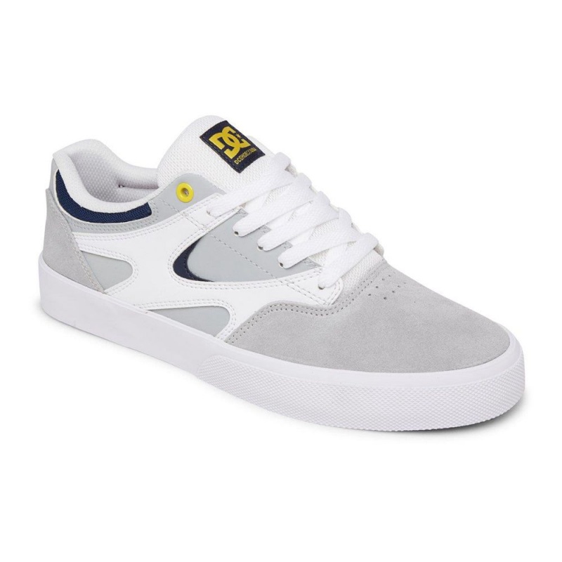 DC Shoes Kalis Vulc Leren Schoenen Heren Grijs Wit | JCQ54H-948