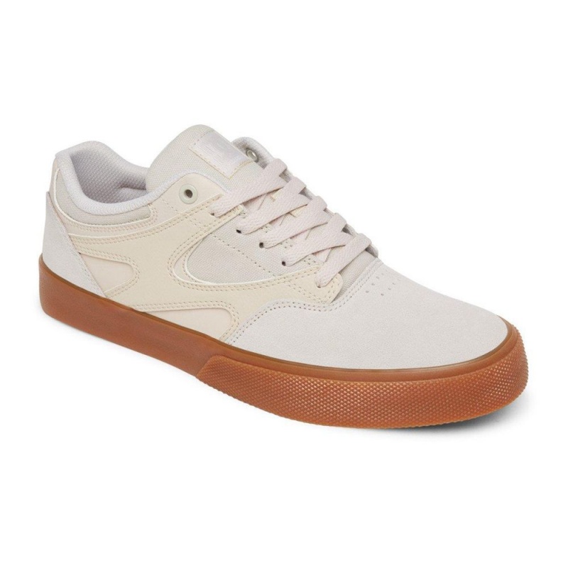 DC Shoes Kalis Vulc Leren Schoenen Heren Grijs | LBW60Q-144