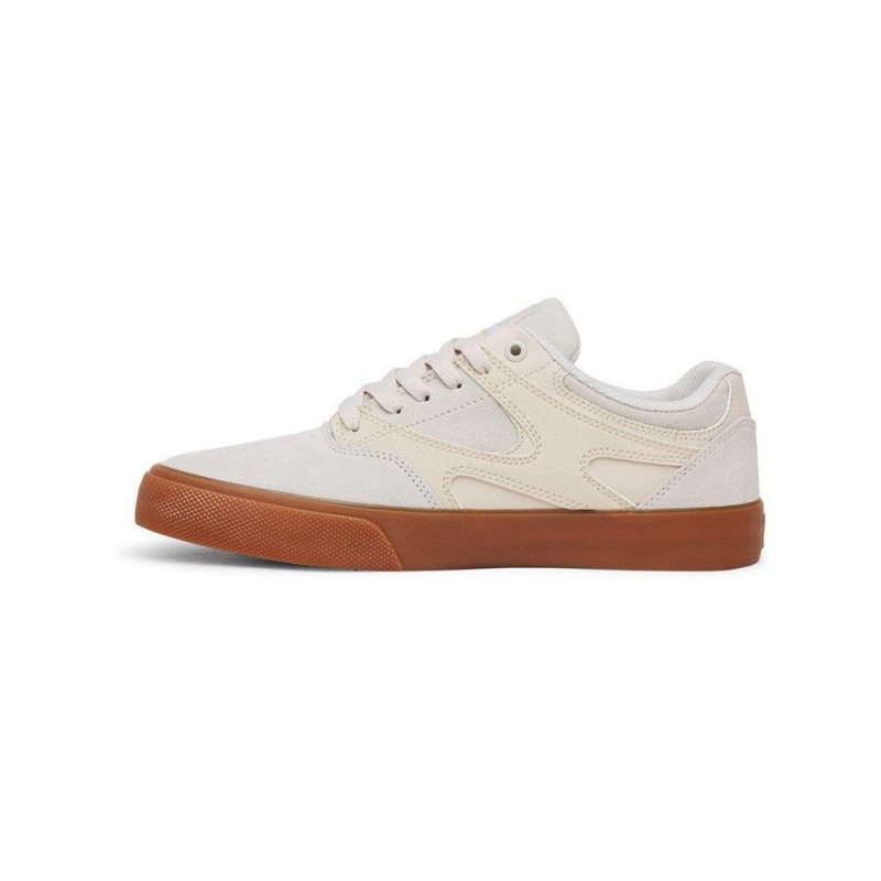 DC Shoes Kalis Vulc Leren Schoenen Heren Grijs | LBW60Q-144