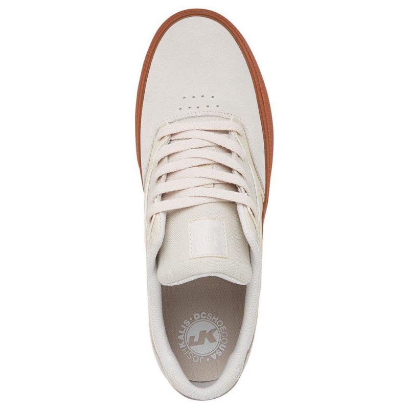 DC Shoes Kalis Vulc Leren Schoenen Heren Grijs | LBW60Q-144