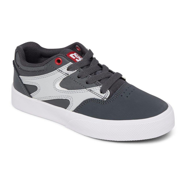 DC Shoes Kalis Vulc Schoenen Kinderen Grijs Rood | NEP40L-507