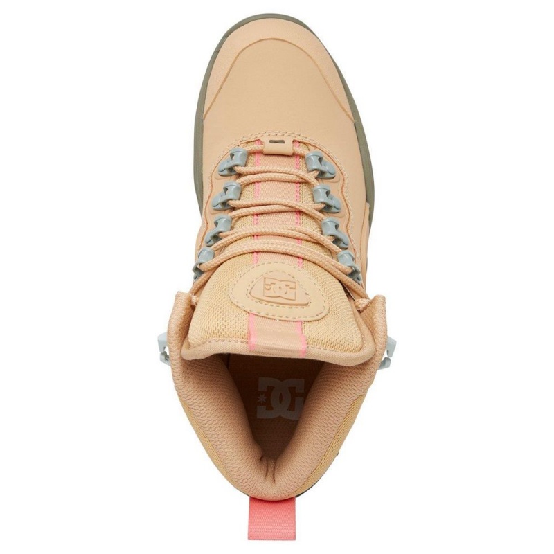 DC Shoes Navigator Leren Kanten-Up Laarzen Dames Bruin | UVZ56R-495