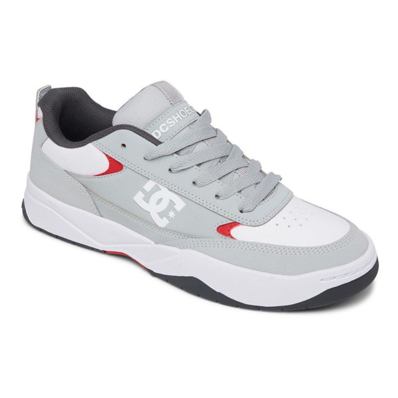 DC Shoes Penza Schoenen Heren Grijs Wit | ONE63J-338