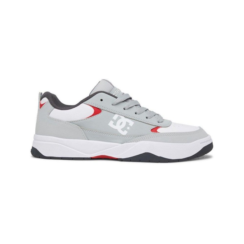 DC Shoes Penza Schoenen Heren Grijs Wit | ONE63J-338