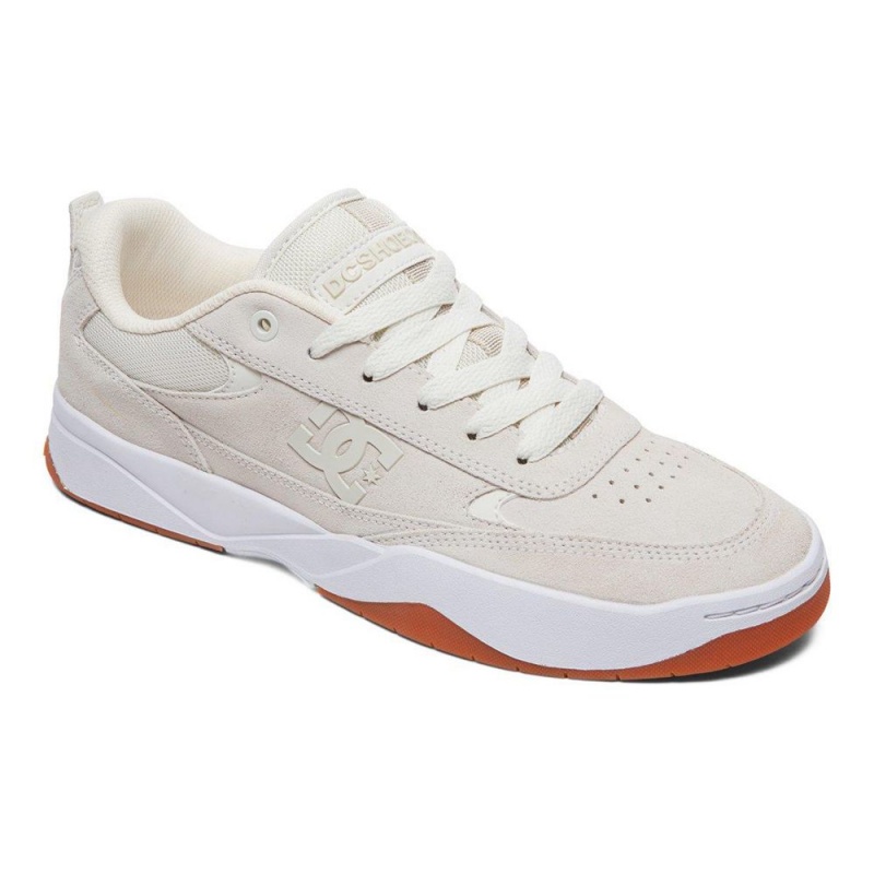 DC Shoes Penza Schoenen Heren Grijs | AZL66H-387