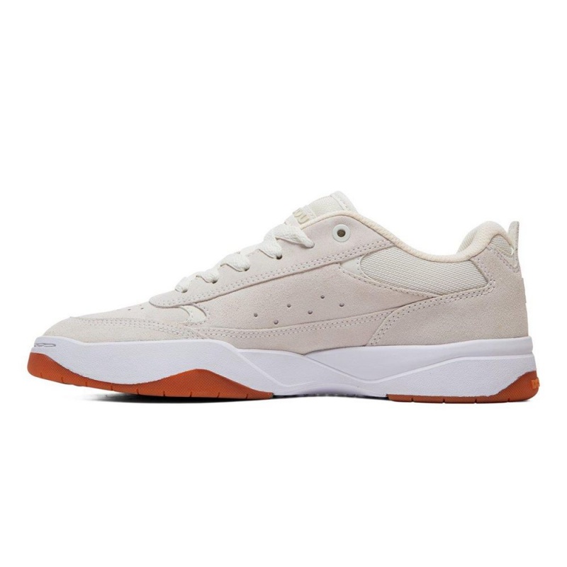 DC Shoes Penza Schoenen Heren Grijs | AZL66H-387