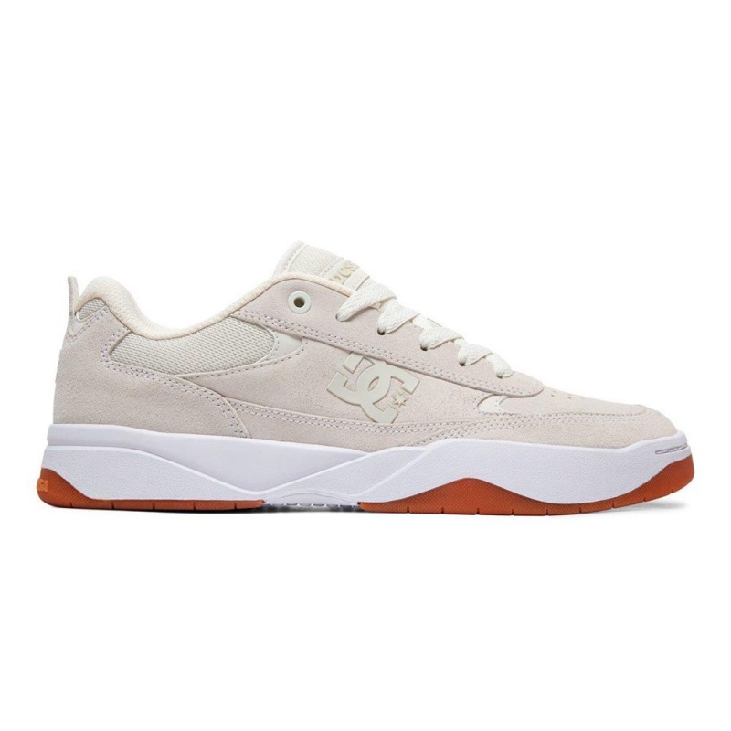 DC Shoes Penza Schoenen Heren Grijs | AZL66H-387