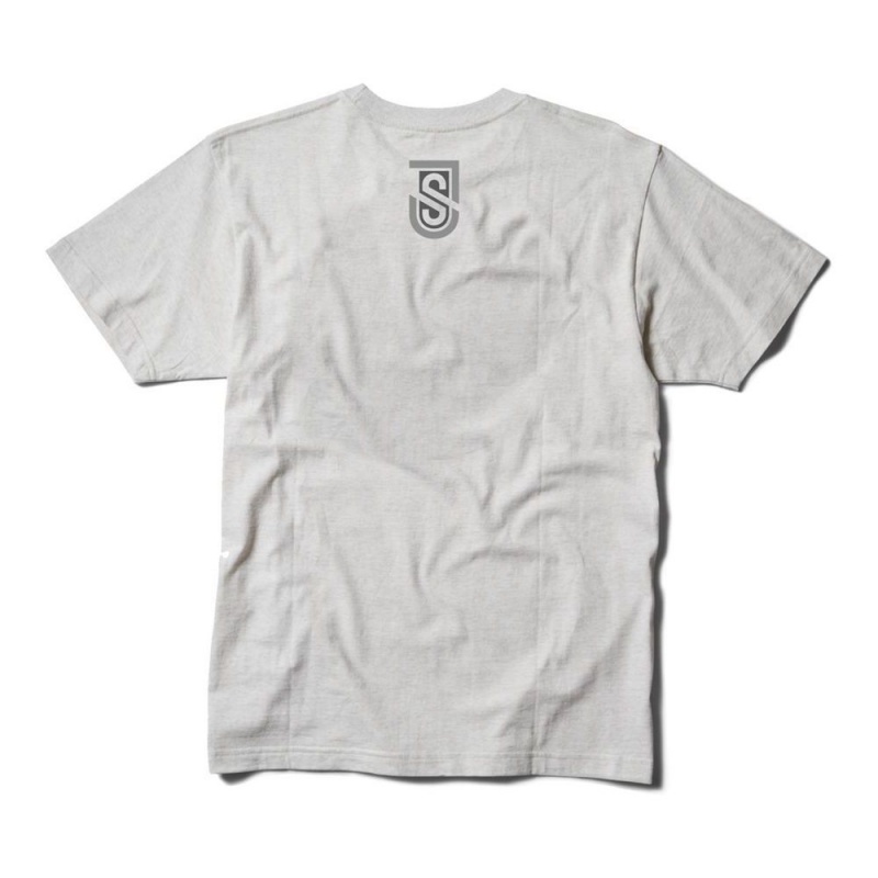 DC Shoes Shanahan T-Shirt Heren Wit | TKZ23P-056