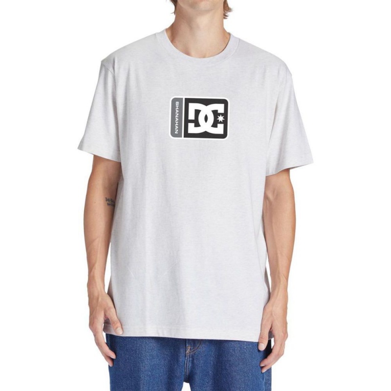 DC Shoes Shanahan T-Shirt Heren Wit | TKZ23P-056