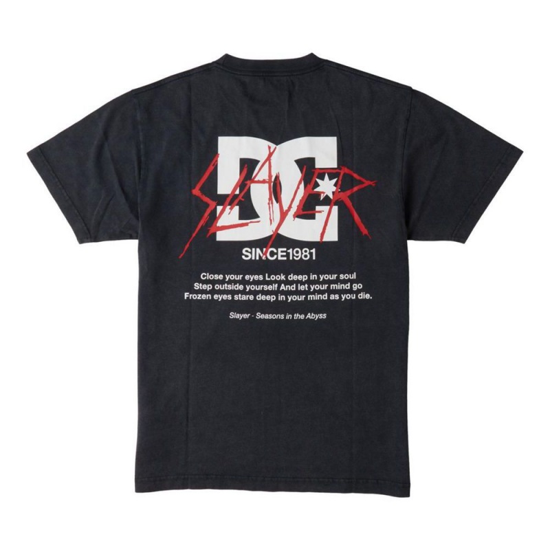 DC Shoes Slayer 1981 T-Shirt Heren Zwart | ZMI47D-873