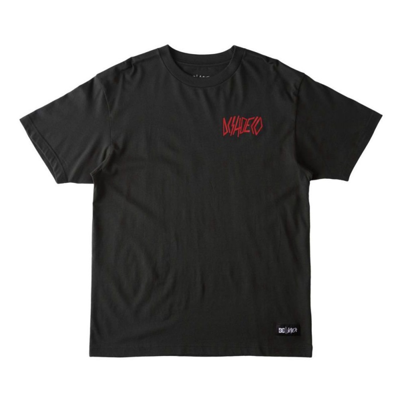 DC Shoes Slayer Shoeco T-Shirt Heren Zwart | NVH05R-785