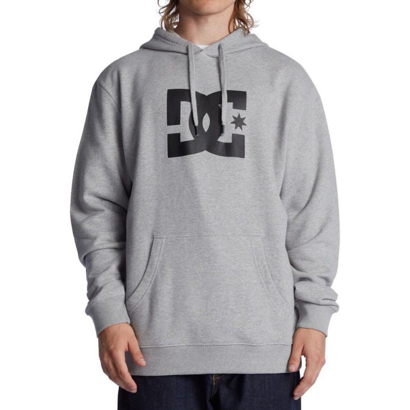 DC Shoes Star Hoodie Heren Grijs | BIW89I-717