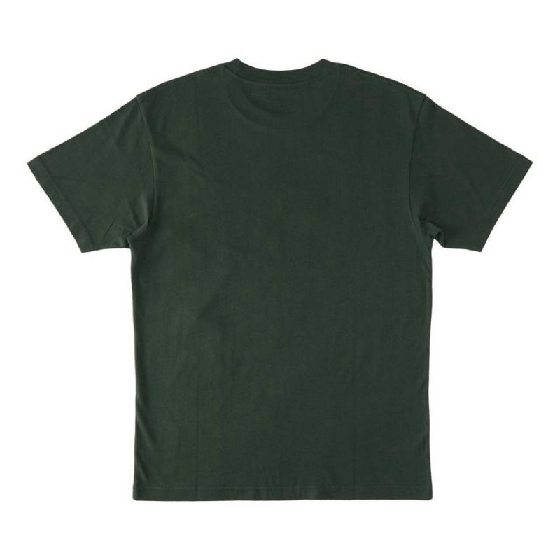 DC Shoes Star T-Shirt Heren Groen | WYY46V-337