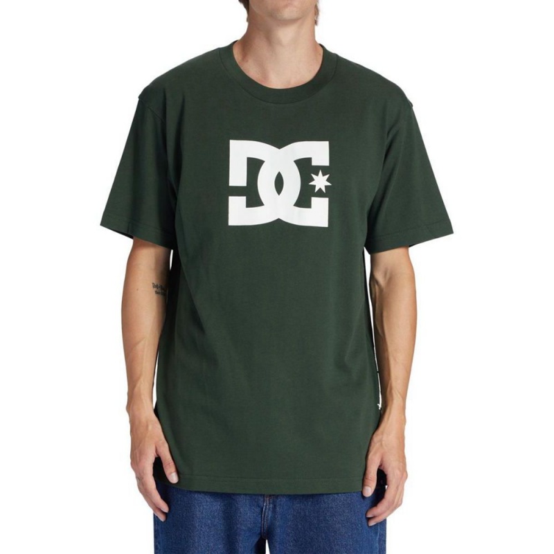 DC Shoes Star T-Shirt Heren Groen | WYY46V-337