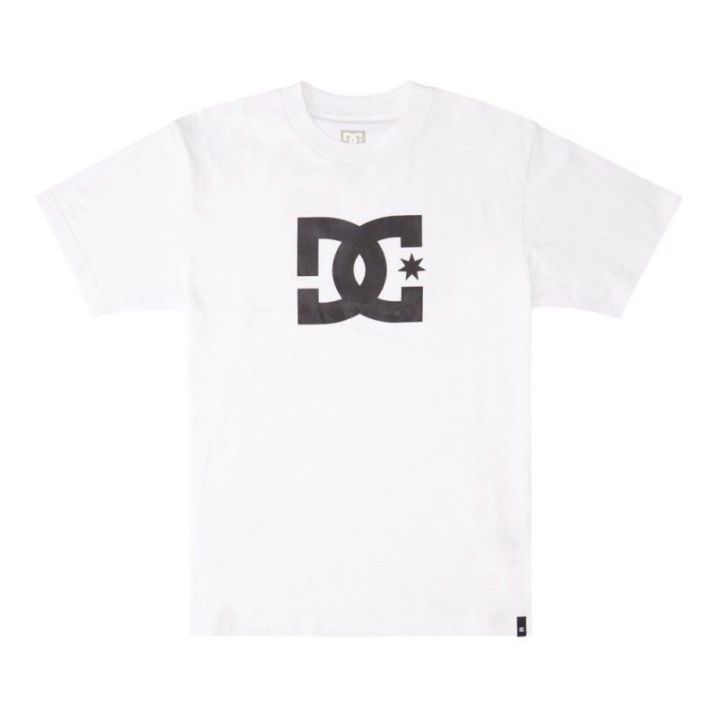 DC Shoes Star T-Shirt Heren Wit | UUD65T-375