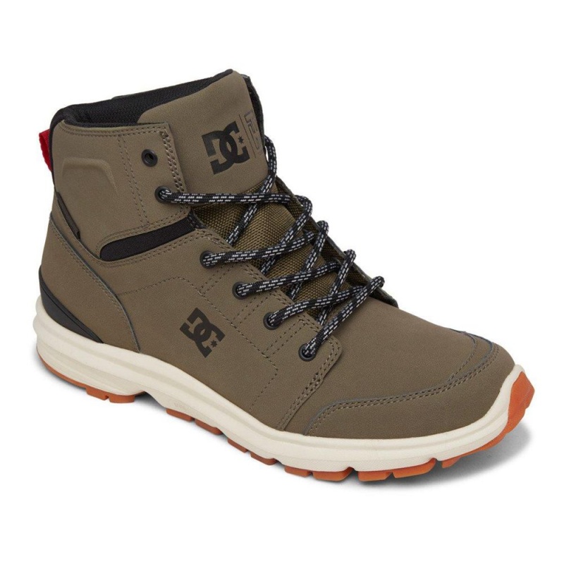 DC Shoes Torstein Leren Kanten-Up Laarzen Heren Groen Zwart | IDA33D-543