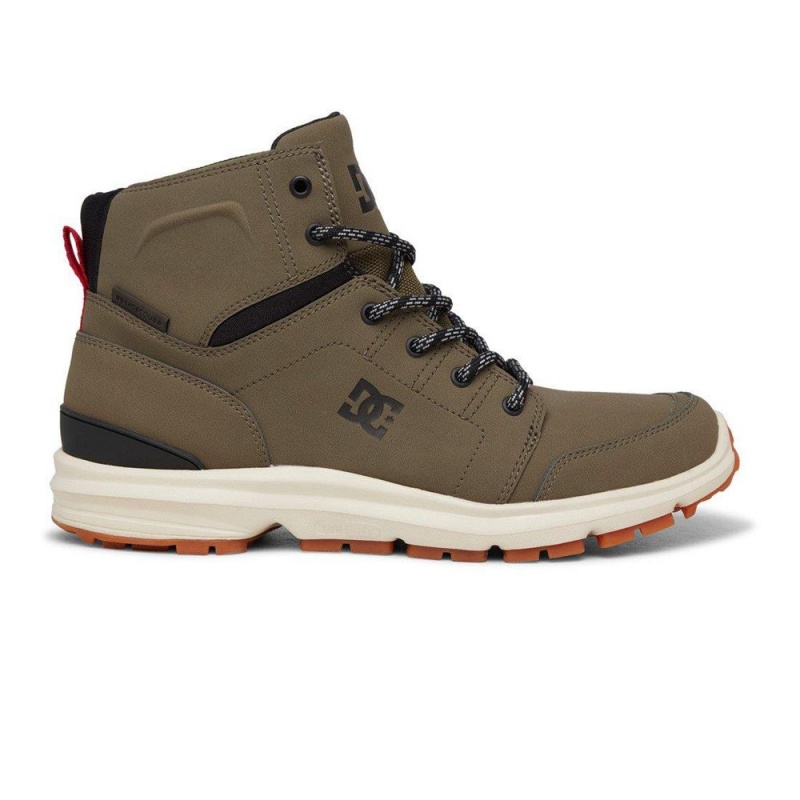 DC Shoes Torstein Leren Kanten-Up Laarzen Heren Groen Zwart | IDA33D-543