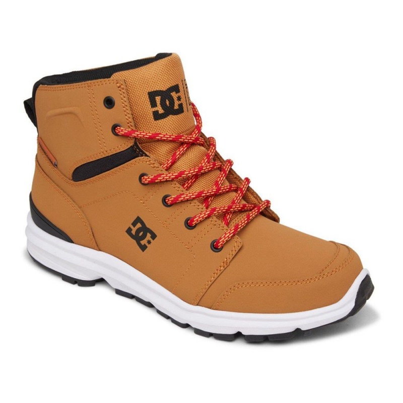 DC Shoes Torstein Leren Kanten-Up Laarzen Heren Bruin Zwart | CNE98U-916